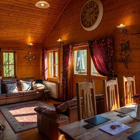 George Cabin - Log Cabin In Wales With Hot Tub نيوتاون المظهر الخارجي الصورة