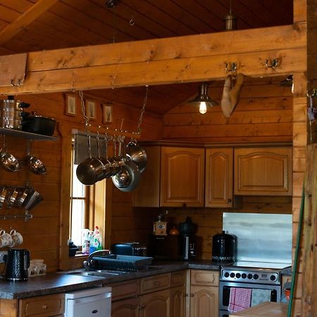 George Cabin - Log Cabin In Wales With Hot Tub نيوتاون المظهر الخارجي الصورة