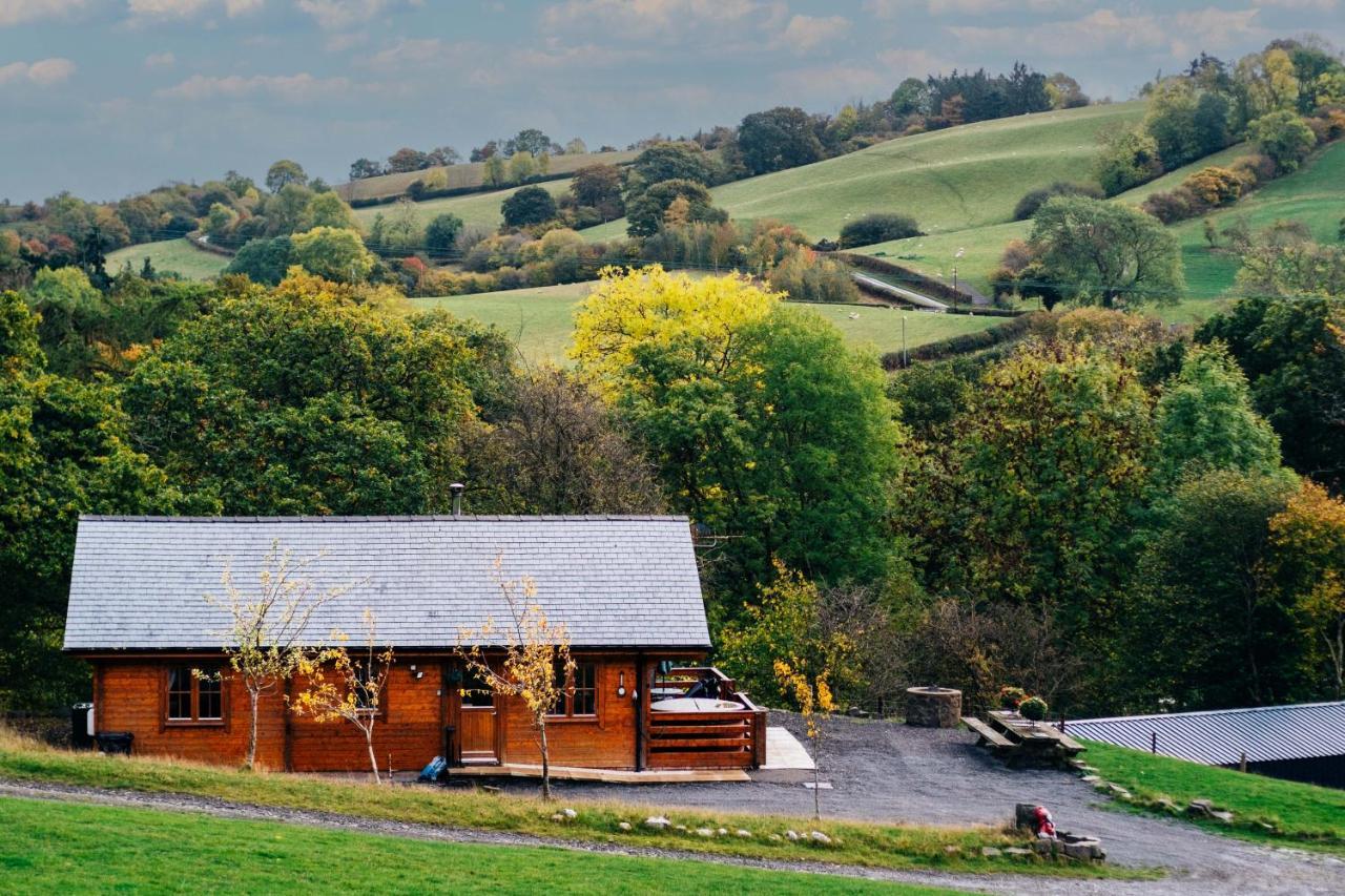 George Cabin - Log Cabin In Wales With Hot Tub نيوتاون المظهر الخارجي الصورة