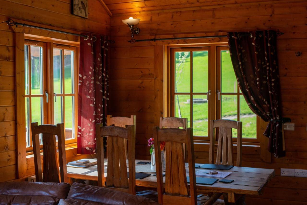 George Cabin - Log Cabin In Wales With Hot Tub نيوتاون المظهر الخارجي الصورة