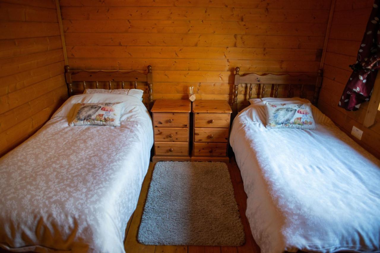 George Cabin - Log Cabin In Wales With Hot Tub نيوتاون المظهر الخارجي الصورة