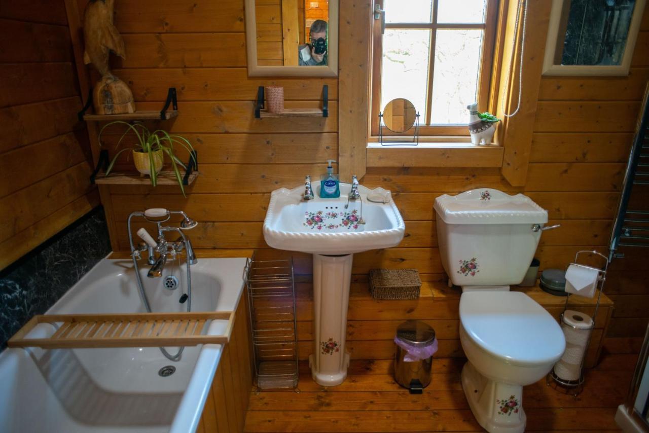 George Cabin - Log Cabin In Wales With Hot Tub نيوتاون المظهر الخارجي الصورة