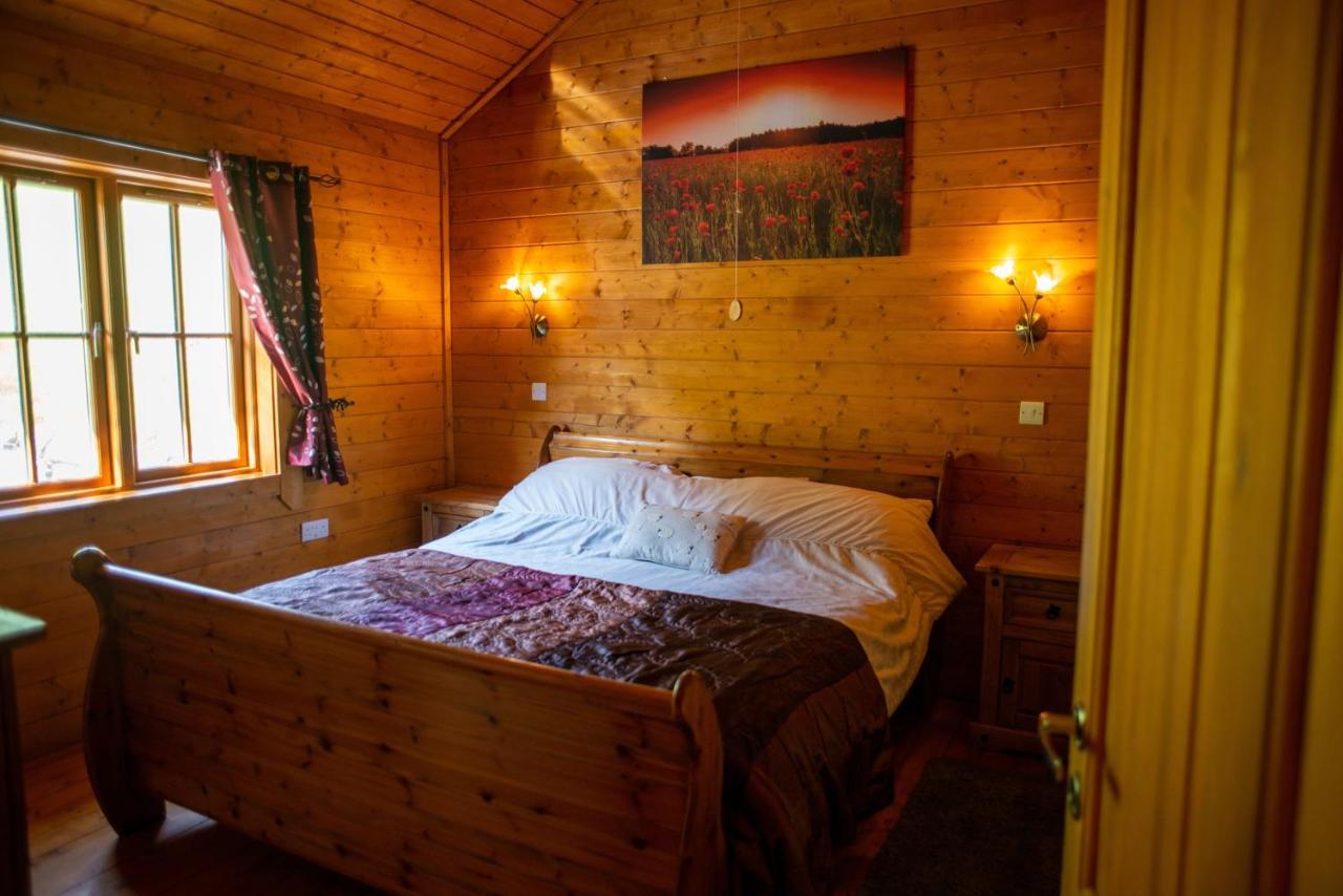 George Cabin - Log Cabin In Wales With Hot Tub نيوتاون المظهر الخارجي الصورة