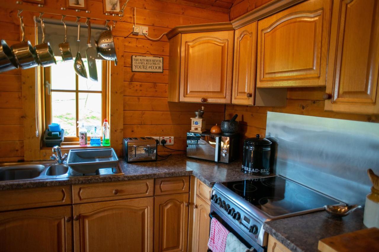 George Cabin - Log Cabin In Wales With Hot Tub نيوتاون المظهر الخارجي الصورة